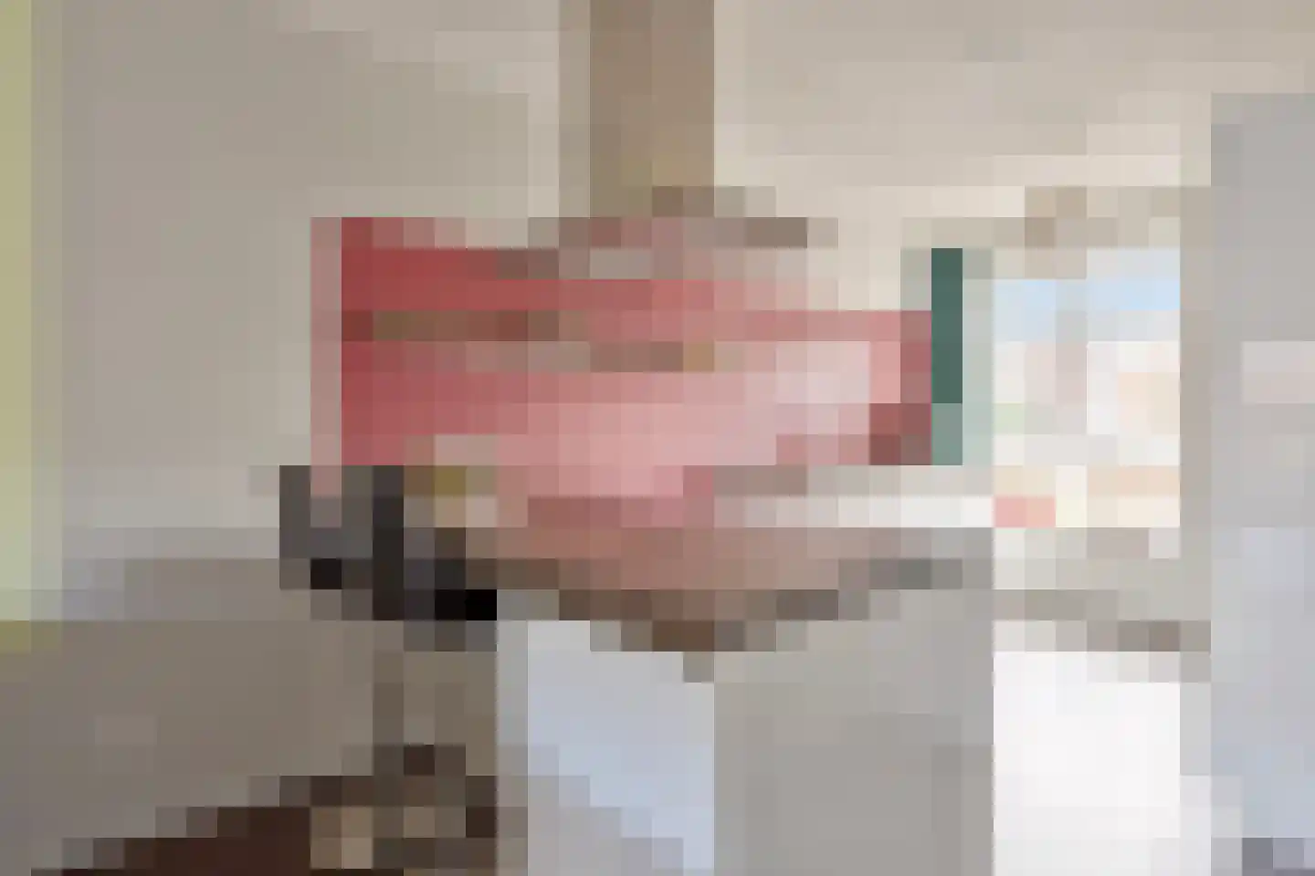 Aalscholver 3 Veenendaal thumbnail 13