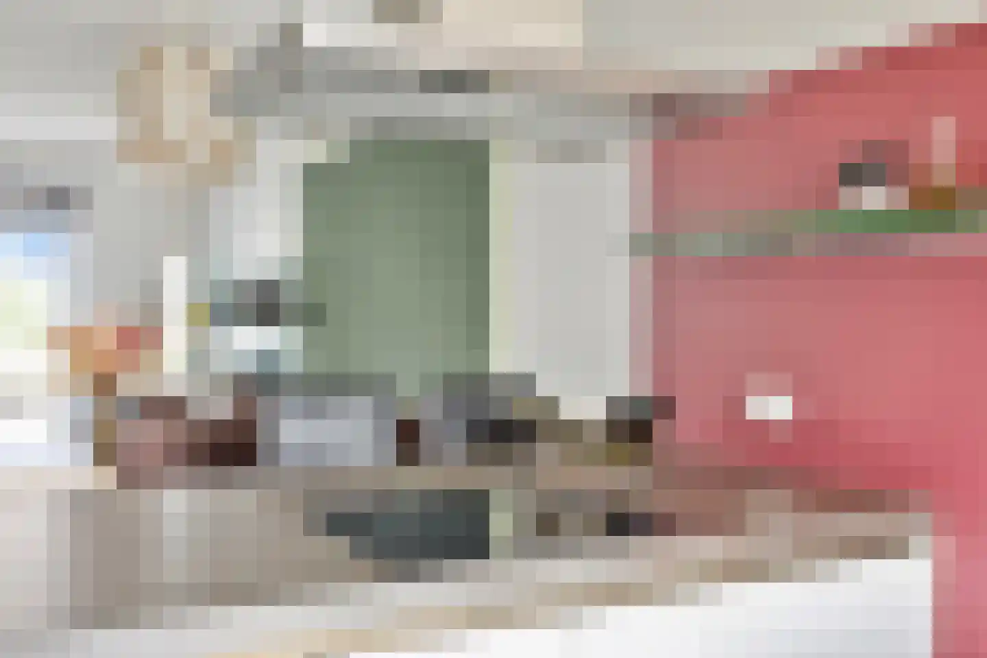 Aalscholver 3 Veenendaal thumbnail 15