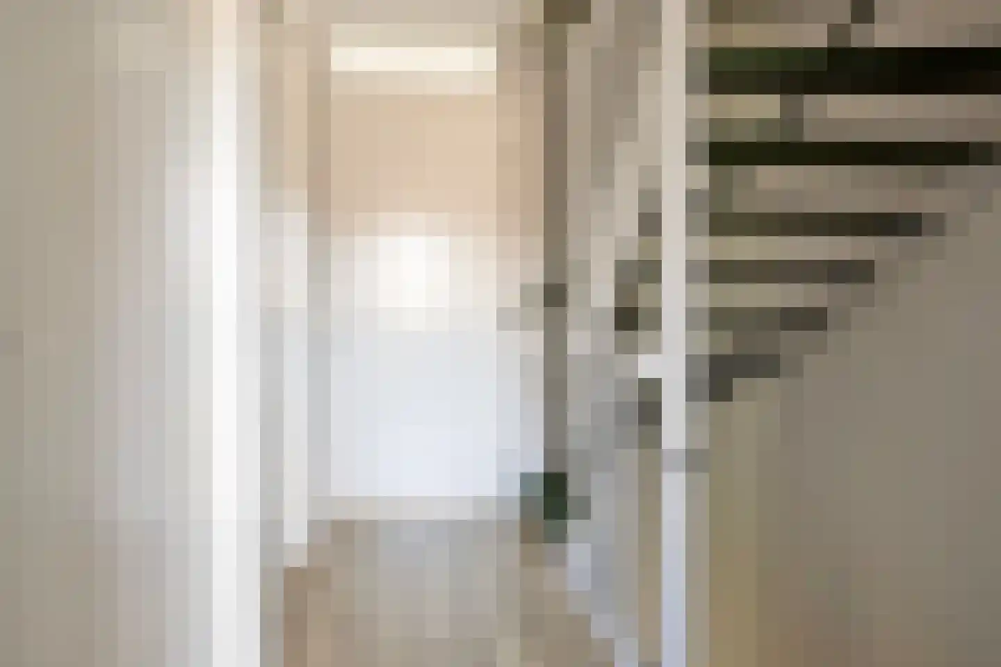 Aalscholver 3 Veenendaal thumbnail 16
