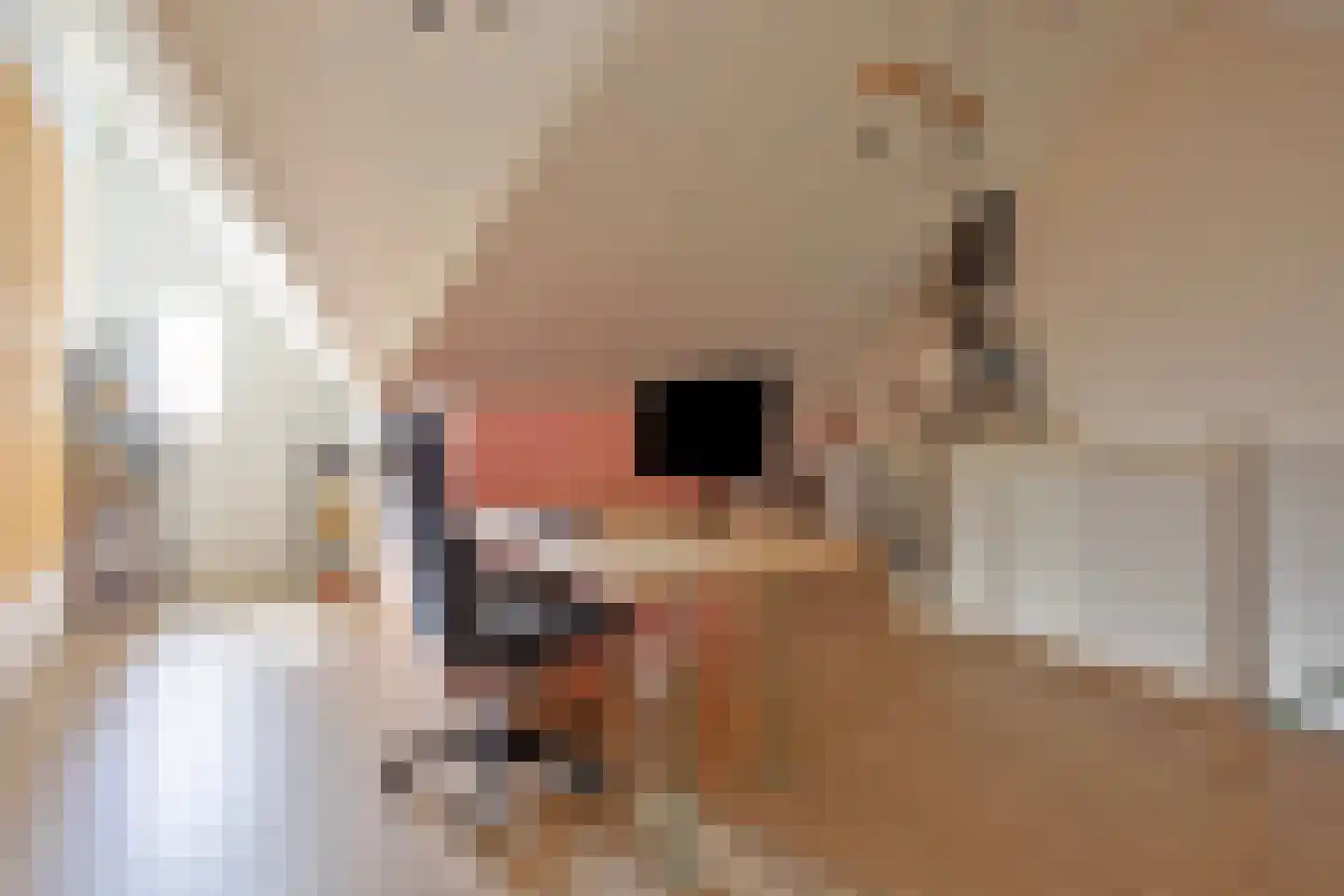 Aalscholver 3 Veenendaal thumbnail 26
