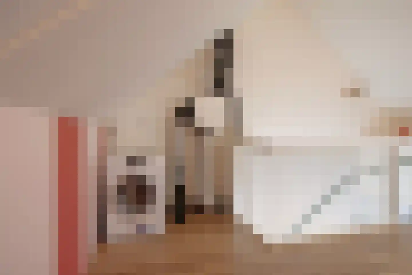 Aalscholver 3 Veenendaal thumbnail 28