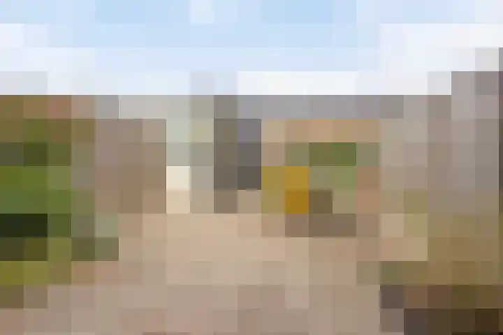 Aalscholver 3 Veenendaal thumbnail 29