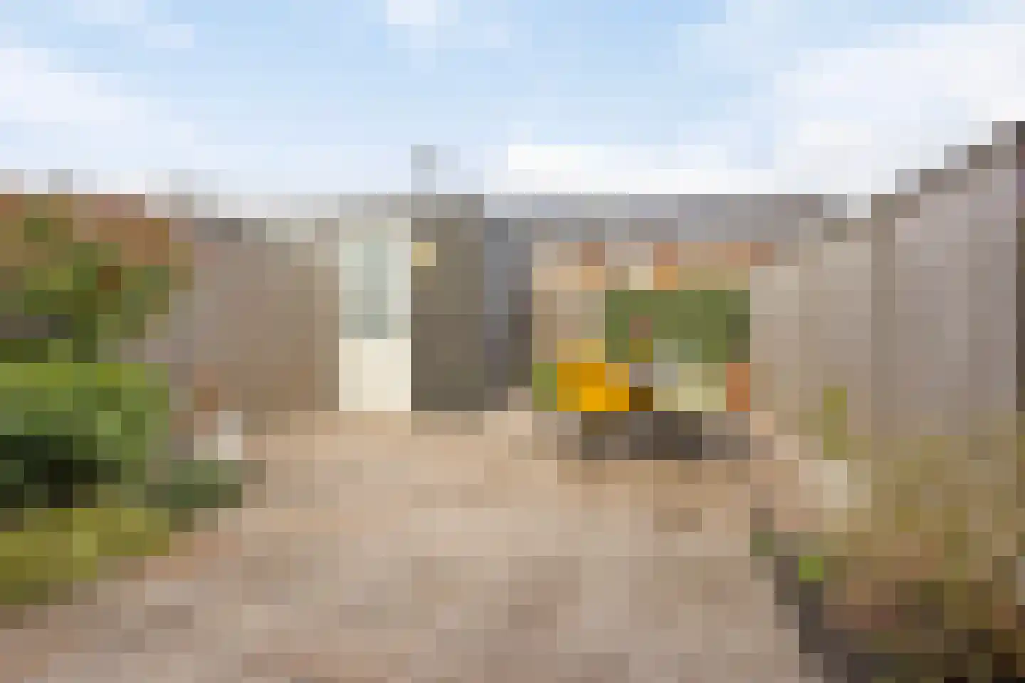 Aalscholver 3 Veenendaal thumbnail 29