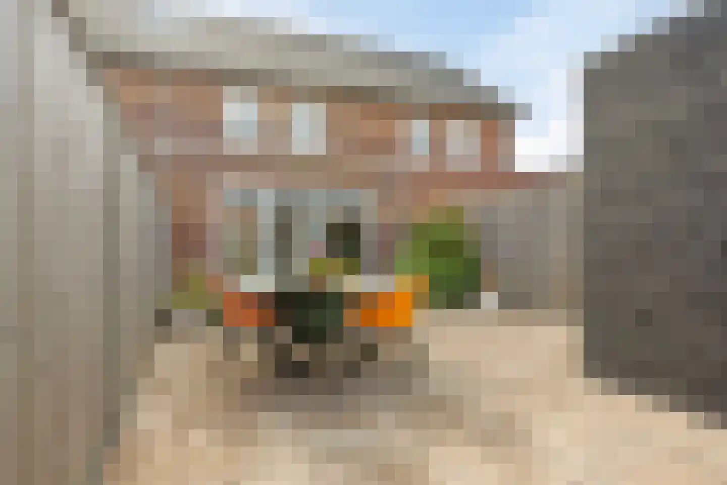 Aalscholver 3 Veenendaal thumbnail 30