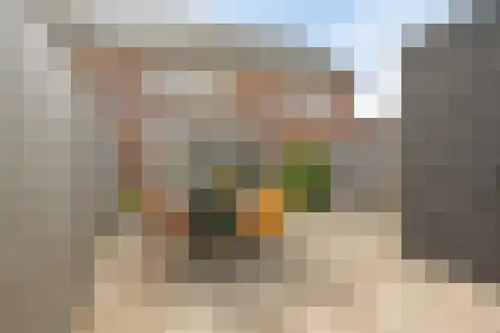 Aalscholver 3 Veenendaal thumbnail 30