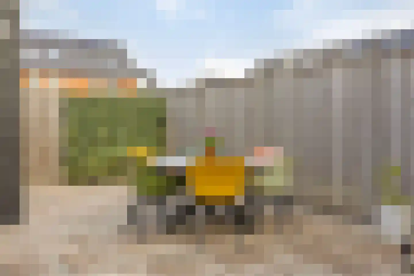 Aalscholver 3 Veenendaal thumbnail 31