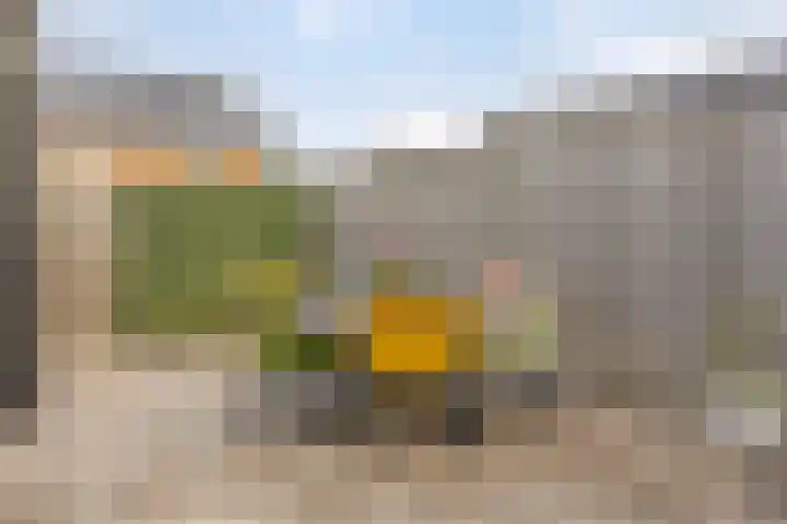 Aalscholver 3 Veenendaal thumbnail 31