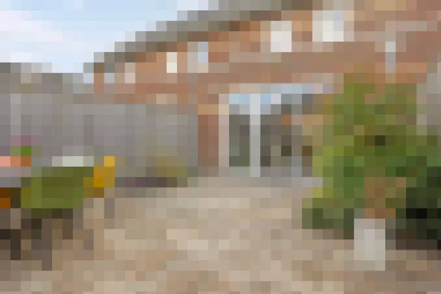 Aalscholver 3 Veenendaal thumbnail 32