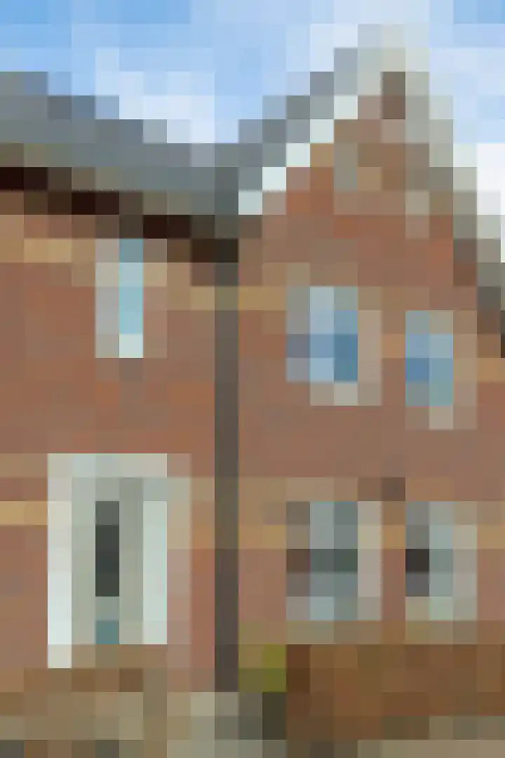Aalscholver 3 Veenendaal thumbnail 34