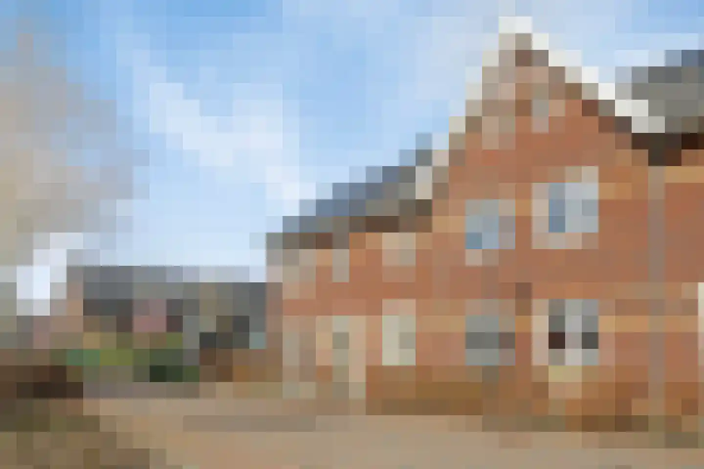 Aalscholver 3 Veenendaal thumbnail 36