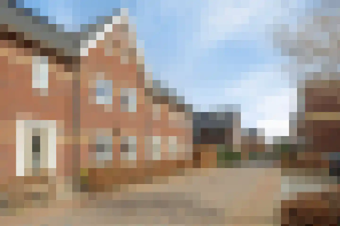 Aalscholver 3 Veenendaal thumbnail 37