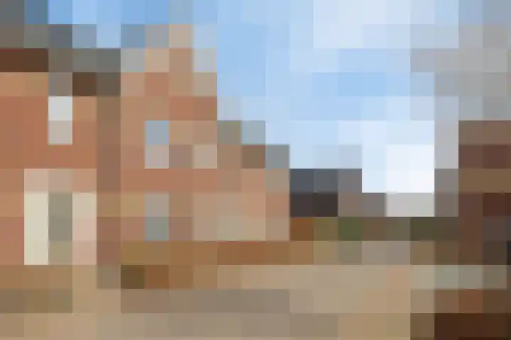 Aalscholver 3 Veenendaal thumbnail 37