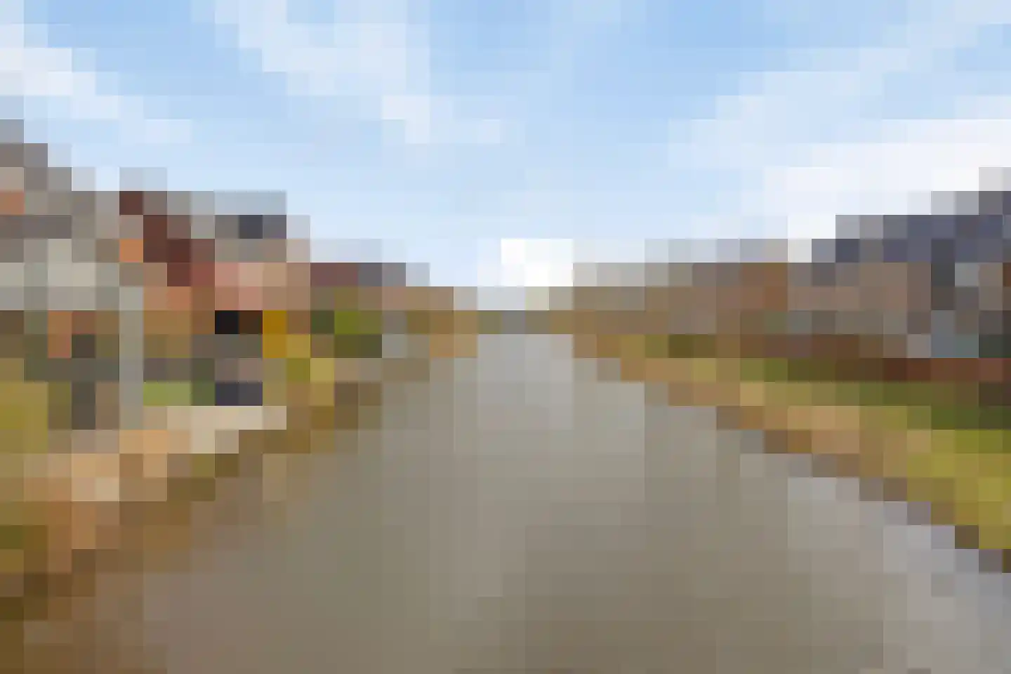 Aalscholver 3 Veenendaal thumbnail 38