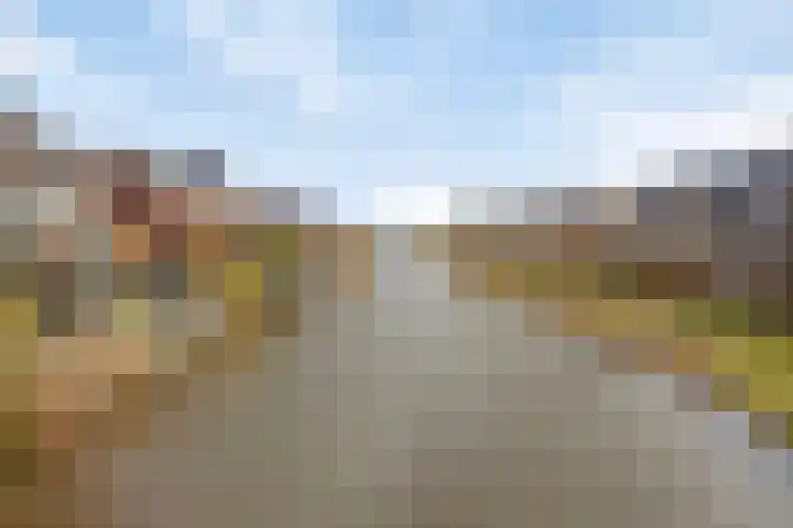Aalscholver 3 Veenendaal thumbnail 38