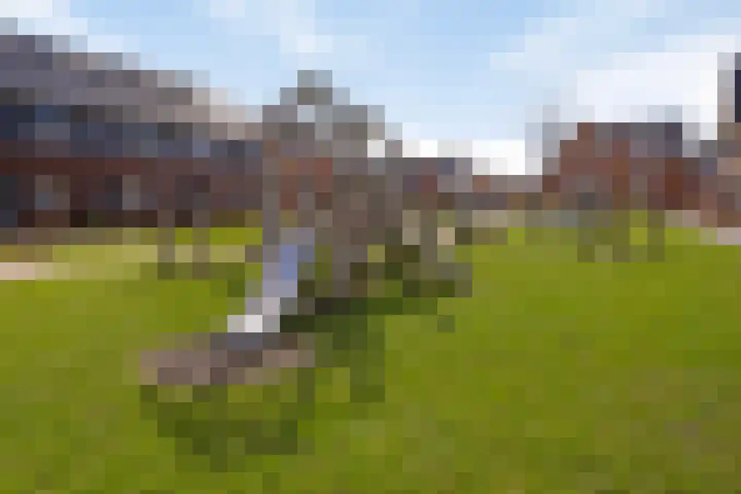 Aalscholver 3 Veenendaal thumbnail 39