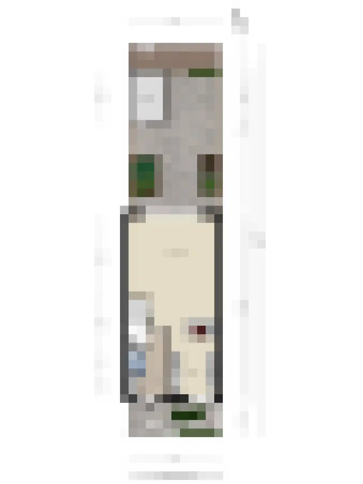 Aalscholver 3 Veenendaal thumbnail 40