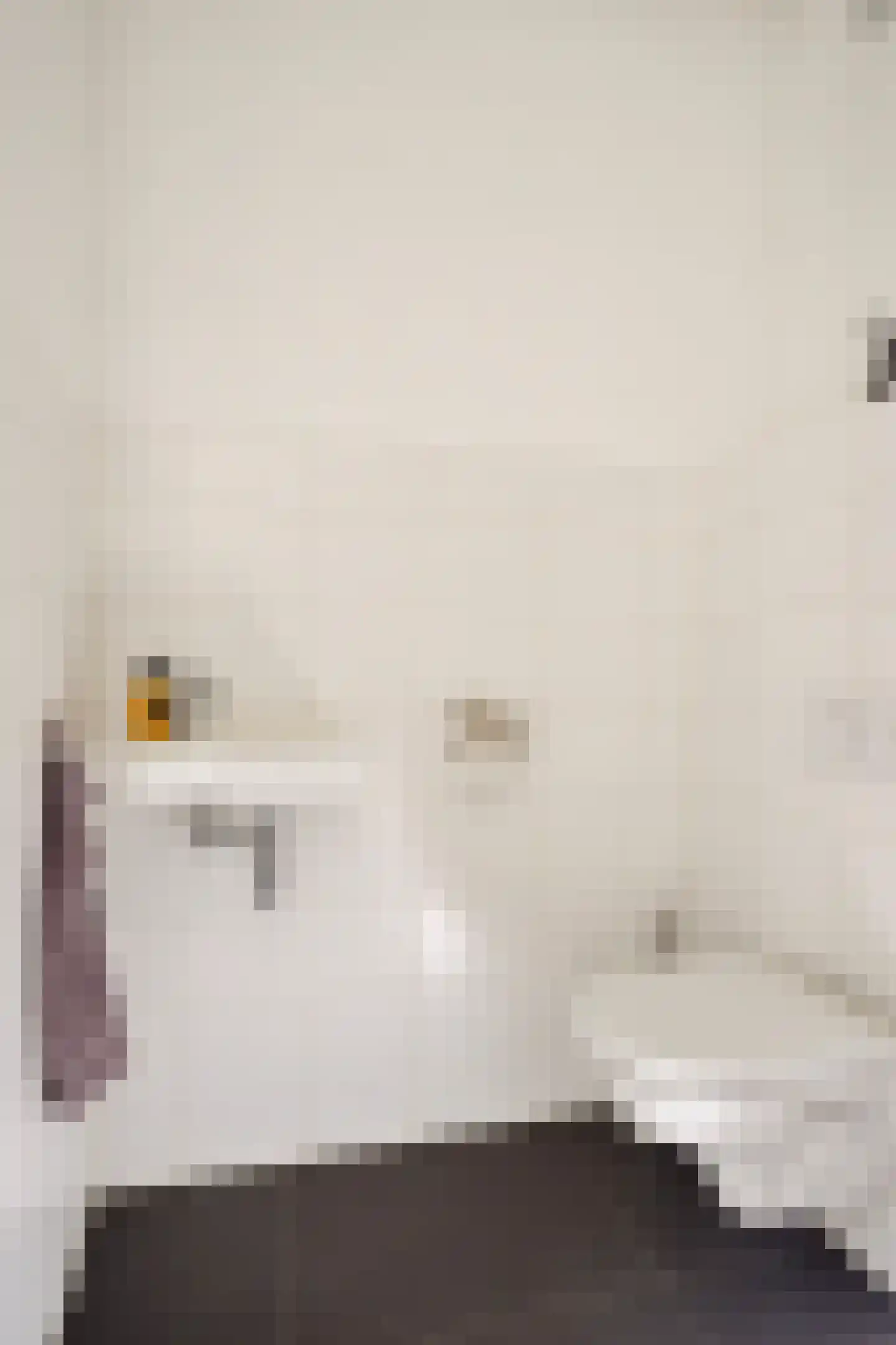 Aalscholver 3 Veenendaal thumbnail 5
