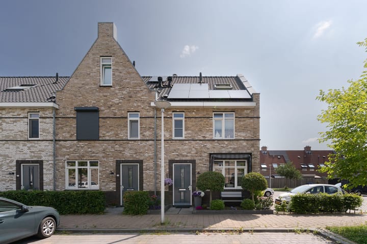 Aalscholver 31 in Hendrik-Ido-Ambacht Foto