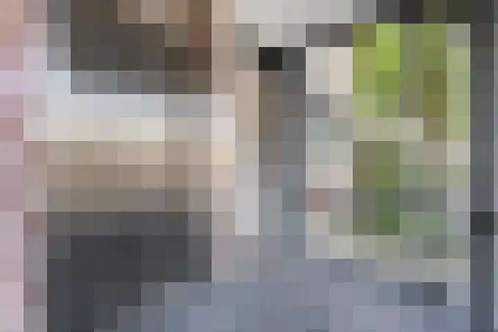 Aalscholver 4 Etten-Leur thumbnail 10
