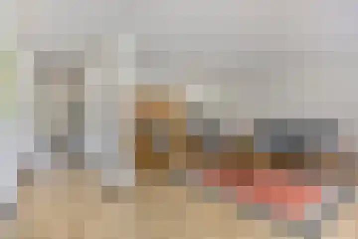 Aalscholver 4 Etten-Leur thumbnail 15