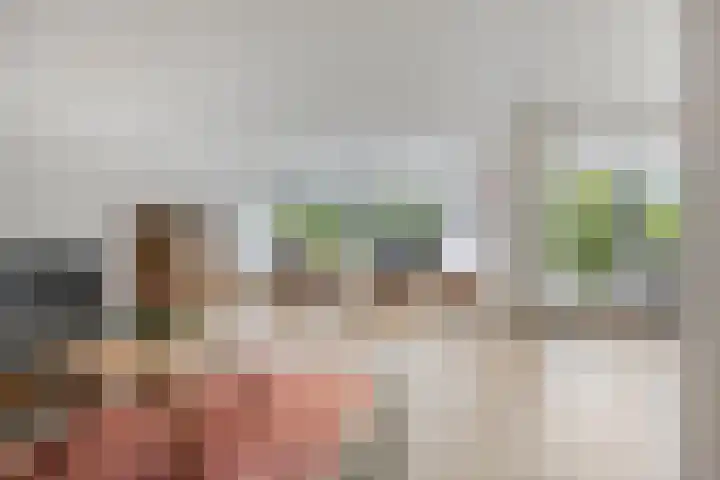 Aalscholver 4 Etten-Leur thumbnail 16