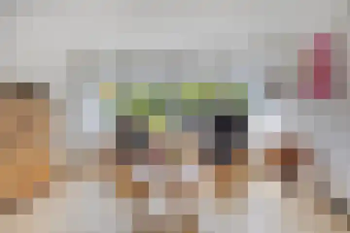 Aalscholver 4 Etten-Leur thumbnail 17