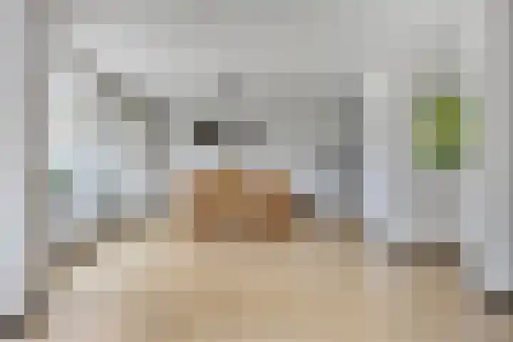 Aalscholver 4 Etten-Leur thumbnail 18