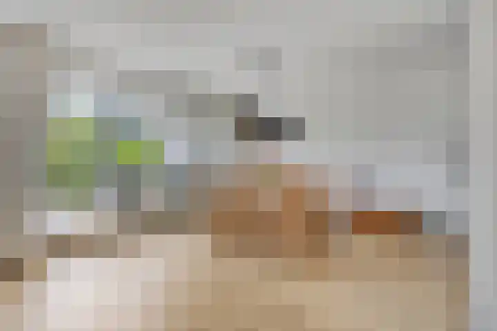 Aalscholver 4 Etten-Leur thumbnail 19