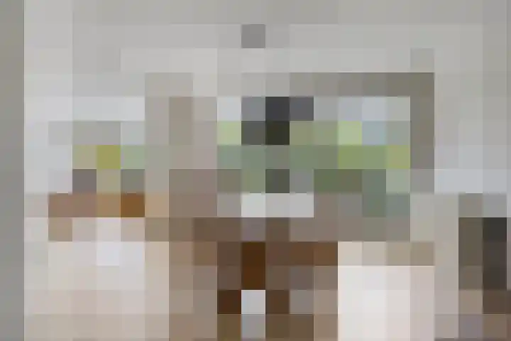 Aalscholver 4 Etten-Leur thumbnail 20