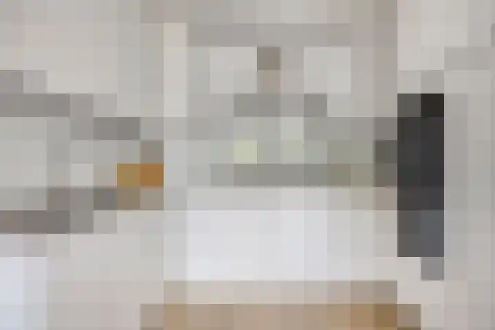 Aalscholver 4 Etten-Leur thumbnail 26