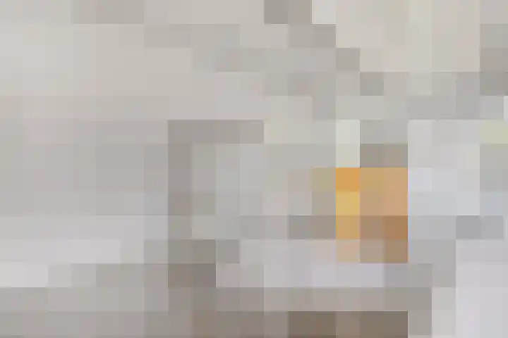 Aalscholver 4 Etten-Leur thumbnail 27