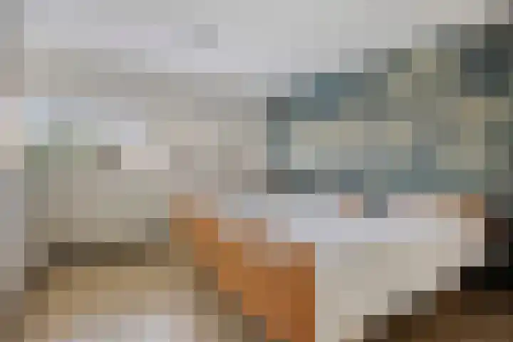Aalscholver 4 Etten-Leur thumbnail 28