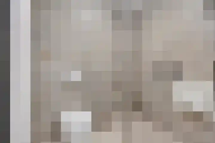 Aalscholver 4 Etten-Leur thumbnail 30