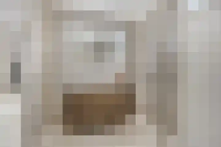 Aalscholver 4 Etten-Leur thumbnail 31