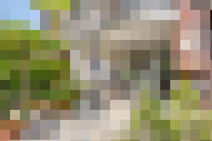 Aalscholver 4 Etten-Leur thumbnail 41