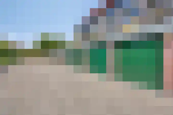 Aalscholver 4 Etten-Leur thumbnail 43
