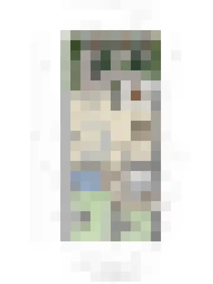 Aalscholver 4 Etten-Leur thumbnail 44