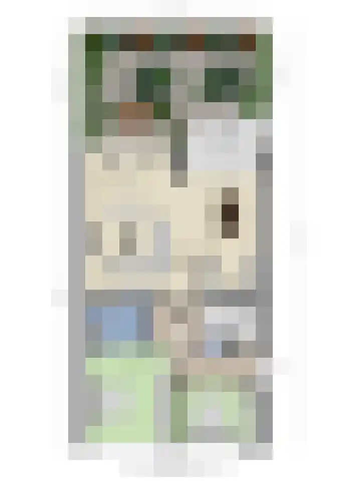 Aalscholver 4 Etten-Leur thumbnail 47