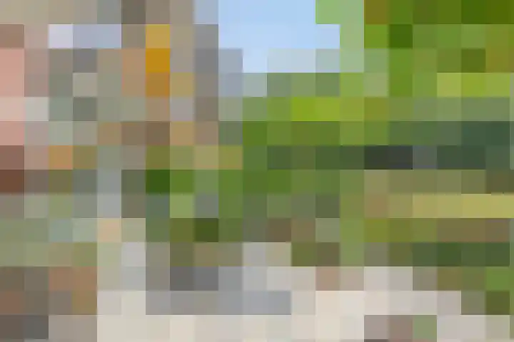 Aalscholver 4 Etten-Leur thumbnail 5