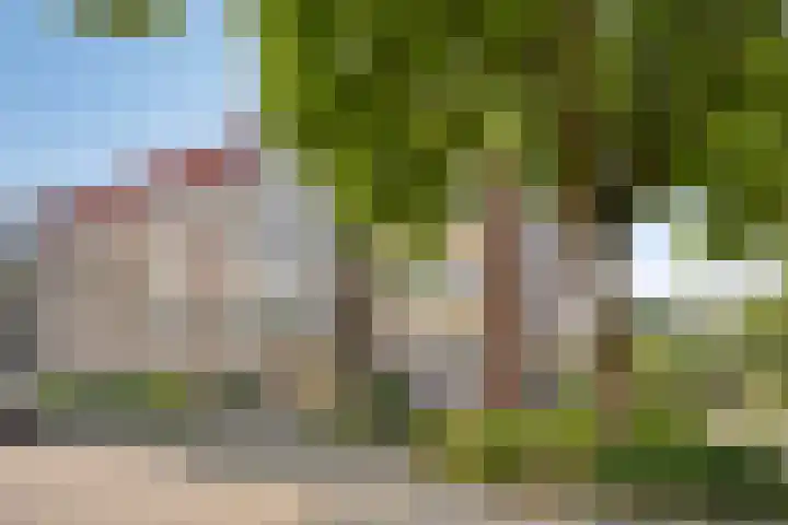 Aalscholver 4 Etten-Leur thumbnail 50