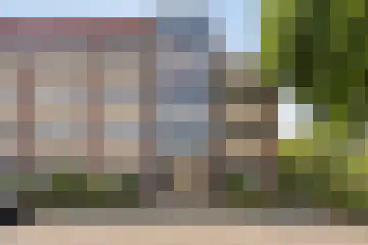 Aalscholver 4 Etten-Leur thumbnail 6