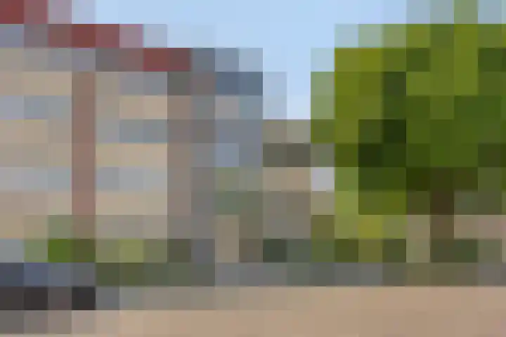 Aalscholver 4 Etten-Leur thumbnail 7