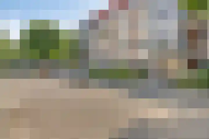 Aalscholver 4 Etten-Leur thumbnail 8