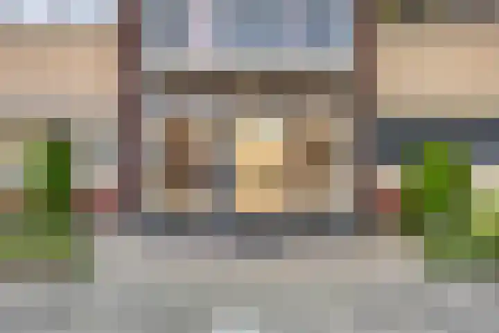 Aalscholver 4 Etten-Leur thumbnail 9