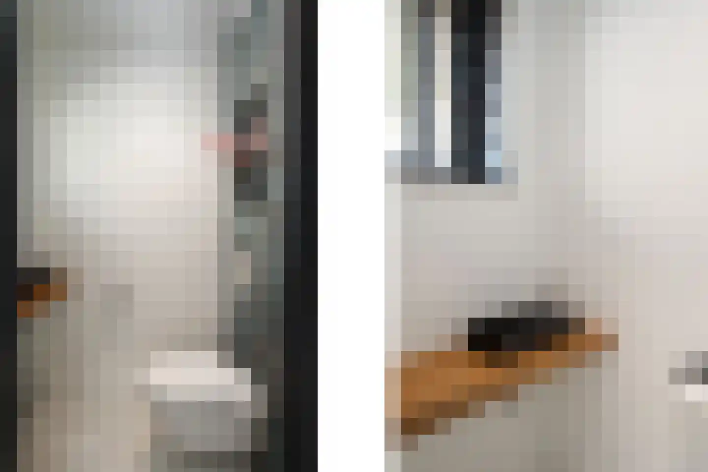 Aalscholver 4 Hendrik-Ido-Ambacht thumbnail 12