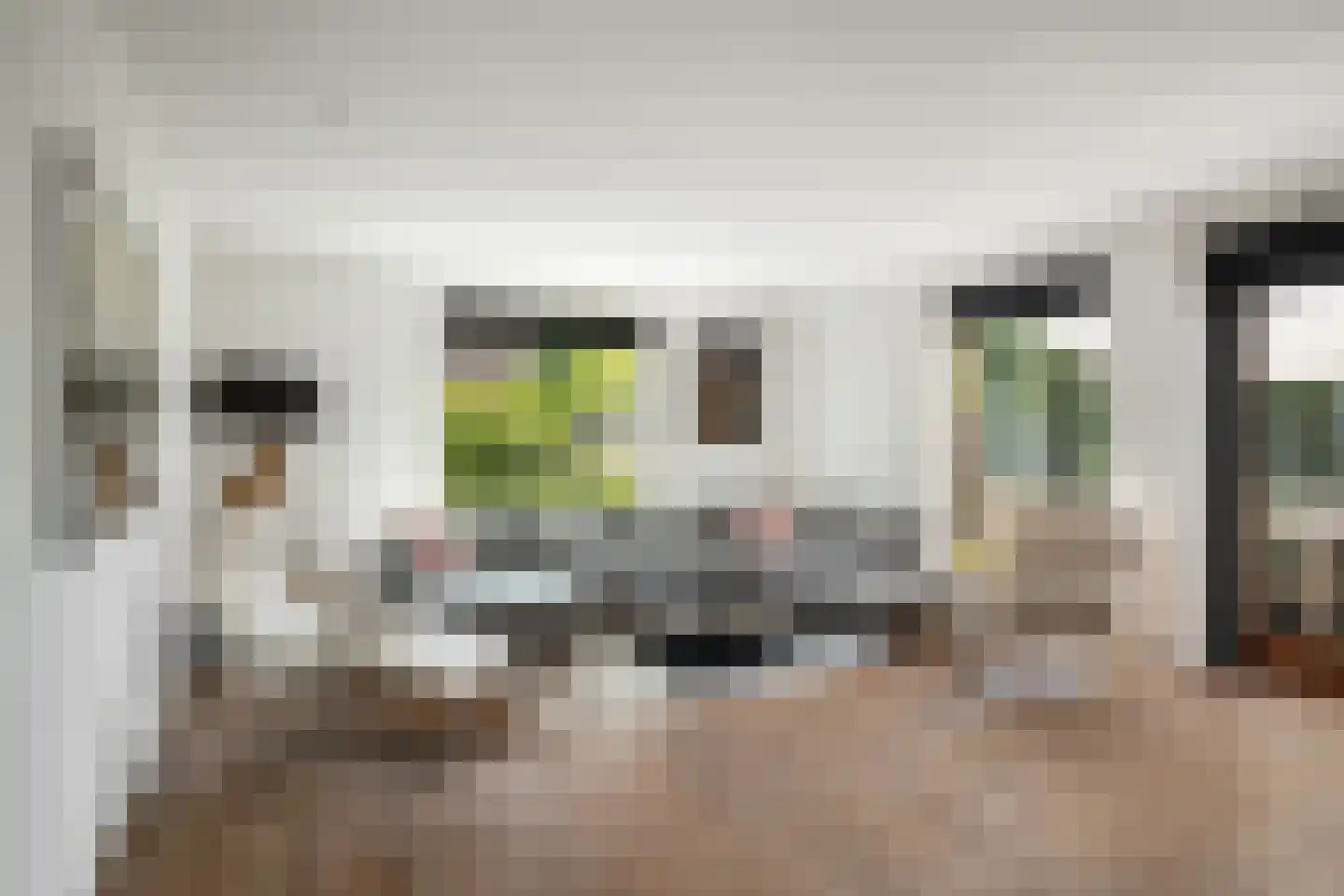 Aalscholver 4 Hendrik-Ido-Ambacht thumbnail 14