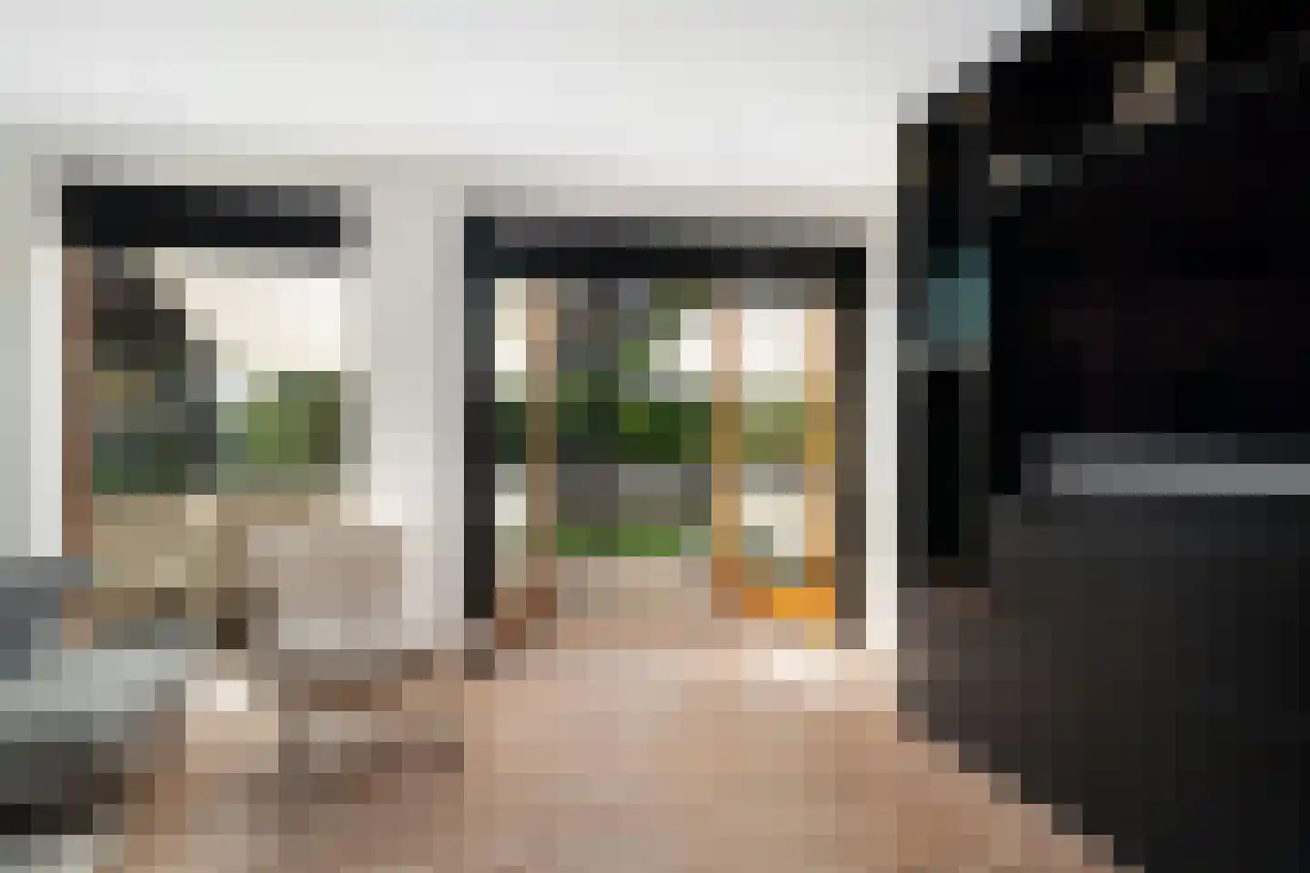 Aalscholver 4 Hendrik-Ido-Ambacht thumbnail 15