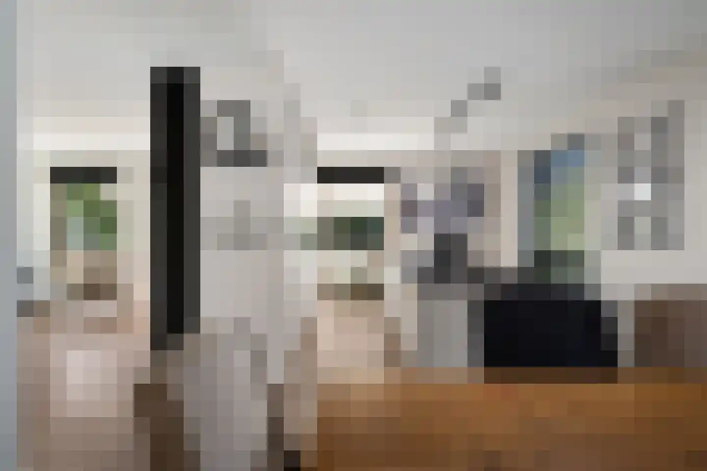 Aalscholver 4 Hendrik-Ido-Ambacht thumbnail 20