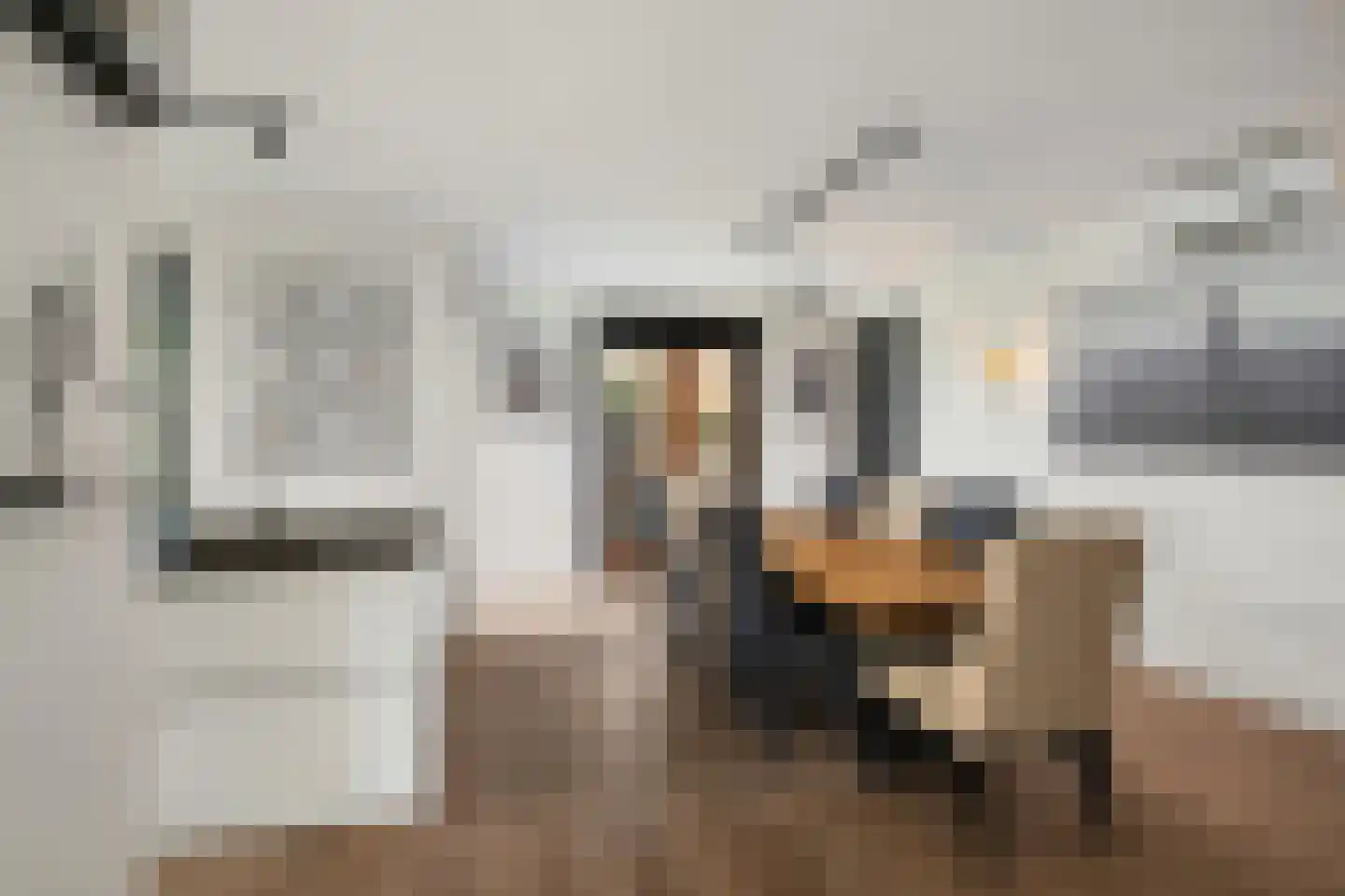 Aalscholver 4 Hendrik-Ido-Ambacht thumbnail 22