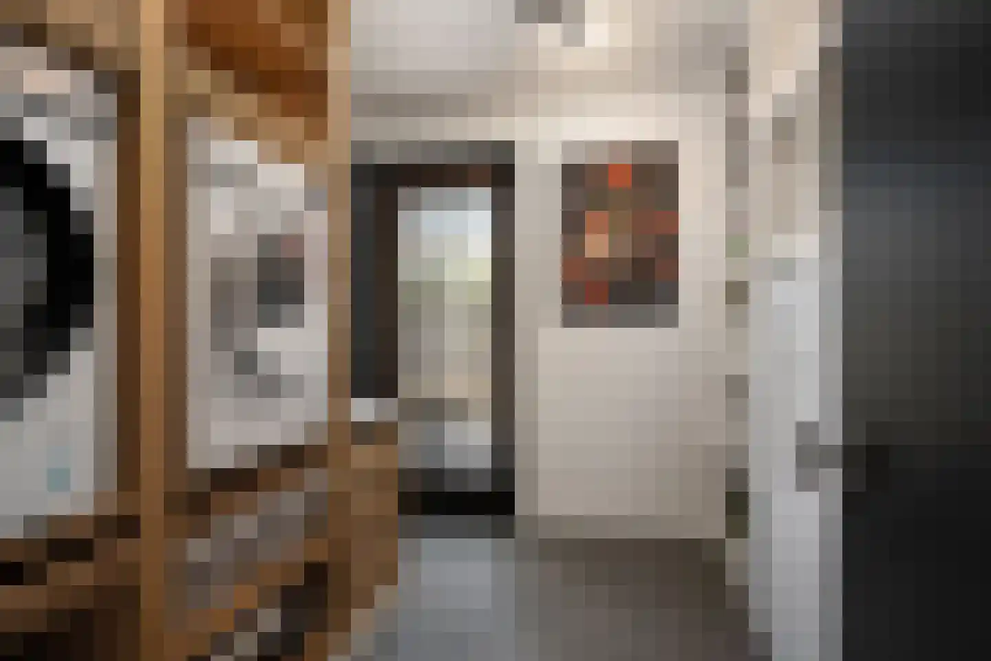 Aalscholver 4 Hendrik-Ido-Ambacht thumbnail 24